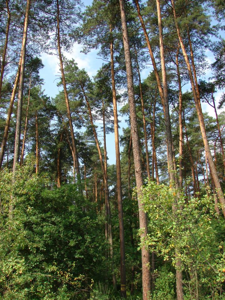 Fot. Bogusław Młynarczyk