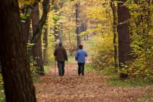 Atrakcje turystyczne Nadleśnictwa Niepołomice